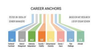 Career Anchors